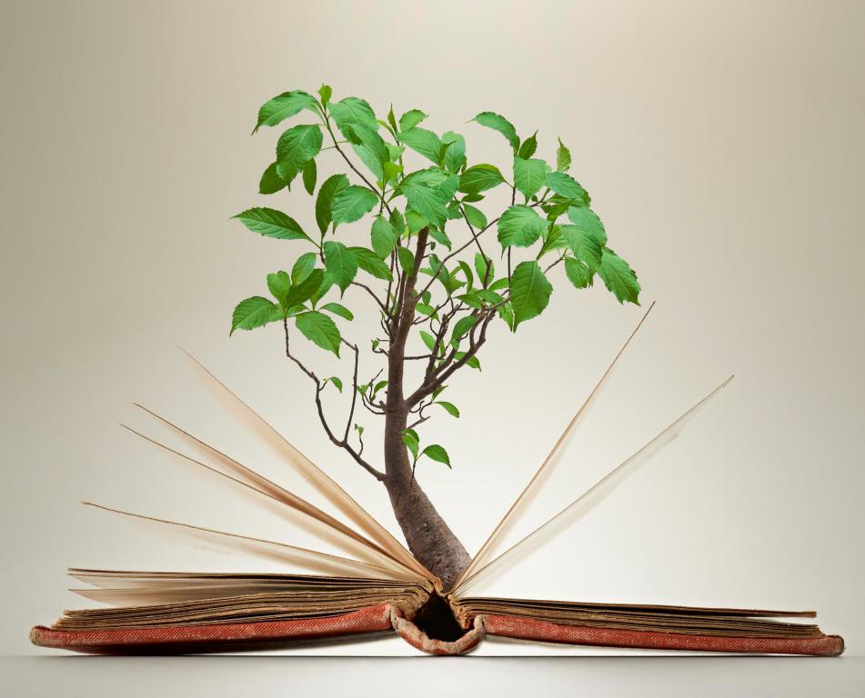 informacion-sobre-lecturas Información 2025 sobre lecturas @alma ¿Qué son los registros akáshicos?